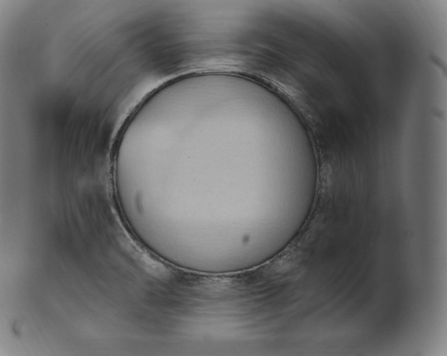 X0000101211470200807111021