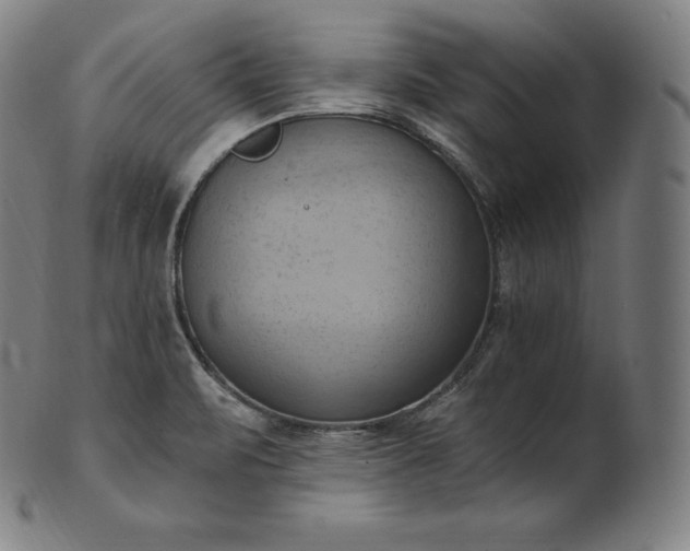 X0000101211471200807111021