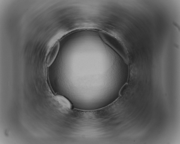 X0000101211472200807111021