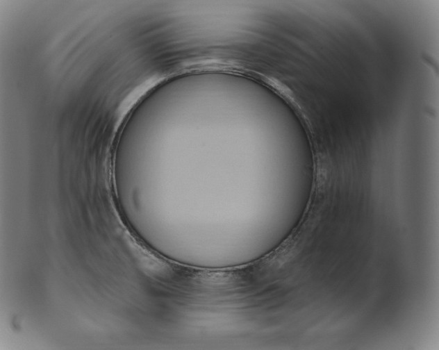 X0000101211474200807111021