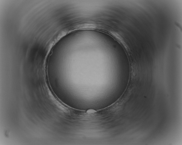 X0000101211475200807111021