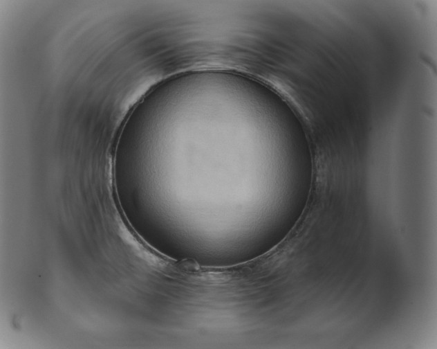 X0000101211476200807111021