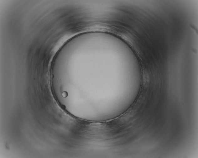 X0000101211478200807111021