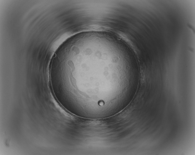 X0000101211479200807111021