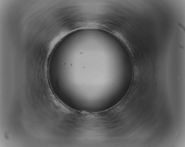 X0000101211480200807111021