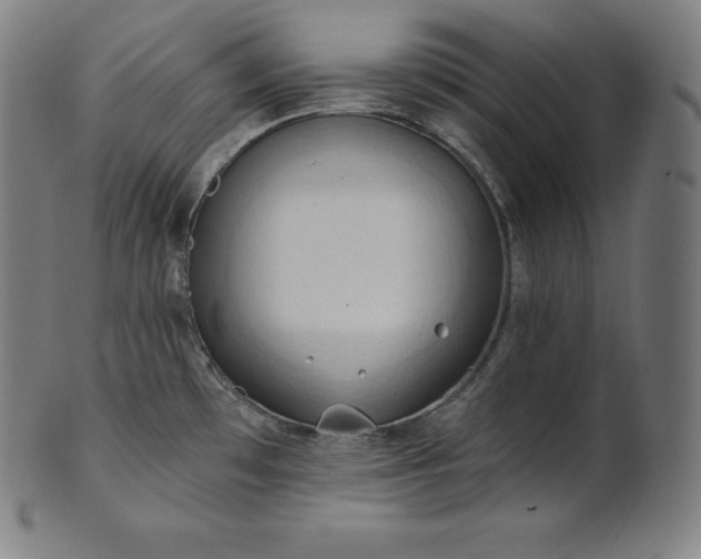 X0000101211481200807111021