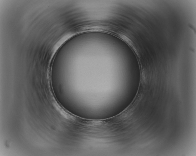 X0000101211482200807111021