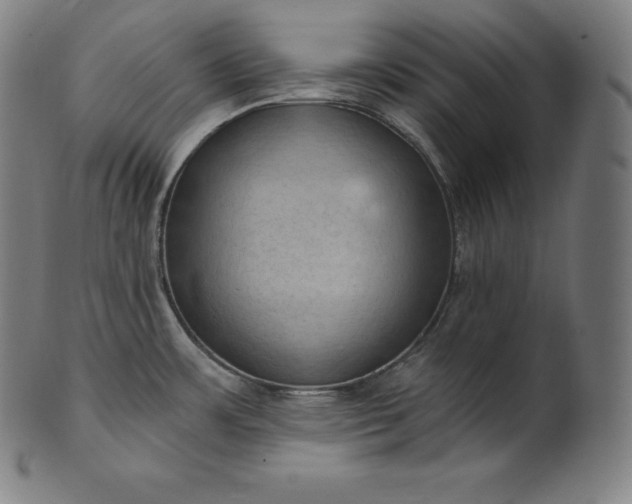 X0000101211483200807111021