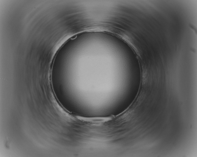 X0000101211484200807111021