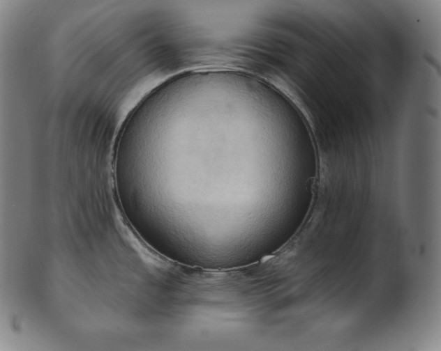 X0000101211485200807111021