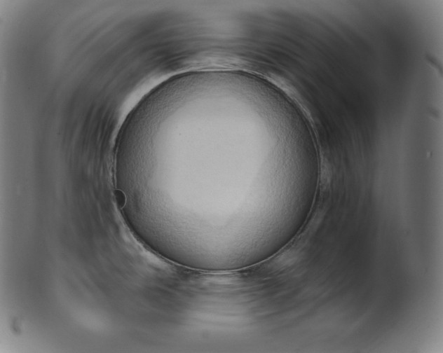 X0000101211486200807111021