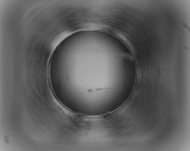 X0000101211487200807111021