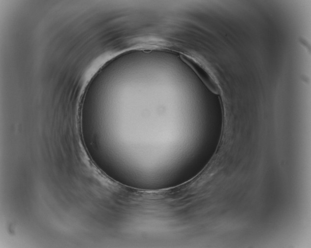 X0000101211488200807111021