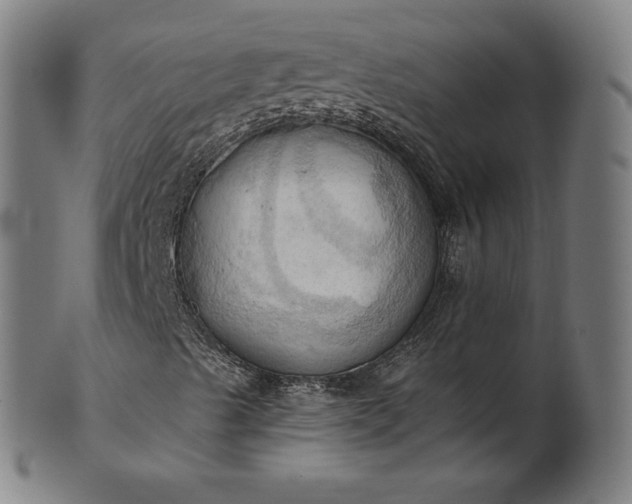 X0000101211489200807111020