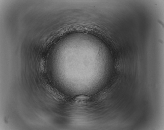 X0000101211490200807111020