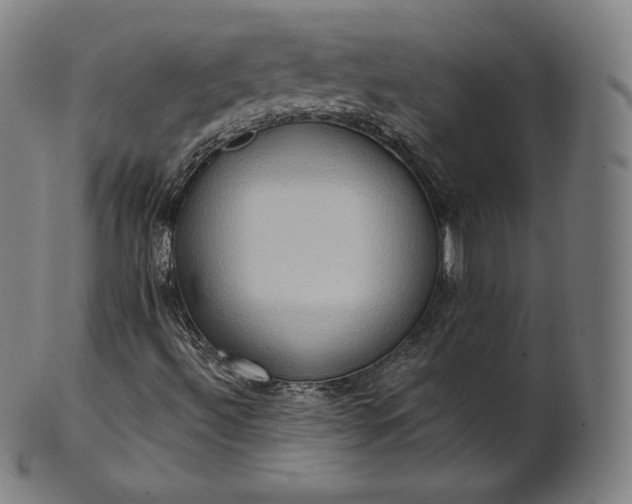 X0000101211492200807111020