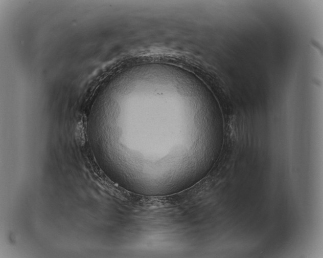 X0000101211493200807111020