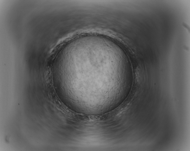 X0000101211494200807111020