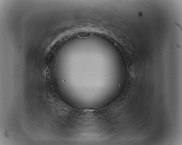 X0000101211495200807111020