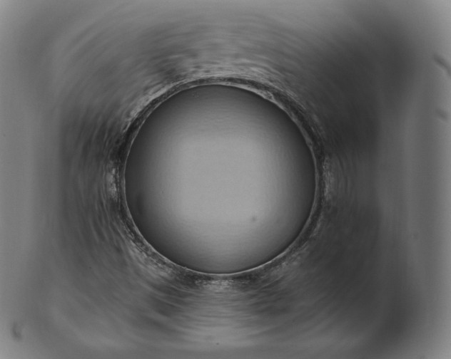 X0000101211497200807111020