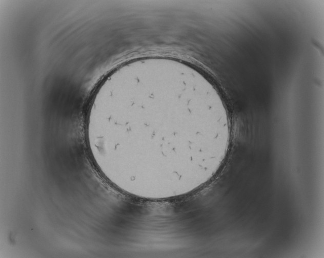 X0000101211498200807111020