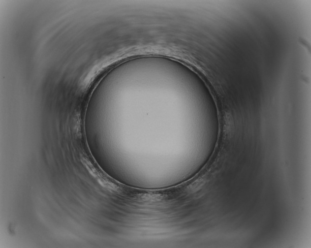 X0000101211499200807111020