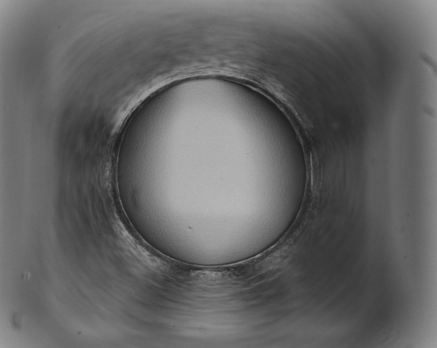 X0000101211500200807111020