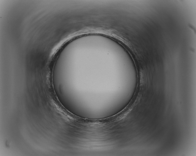 X0000101211502200807111020