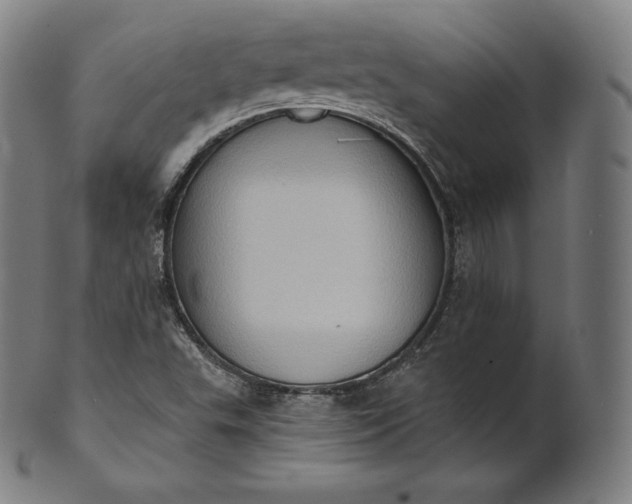 X0000101211503200807111020