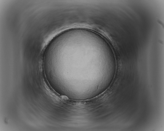 X0000101211504200807111020