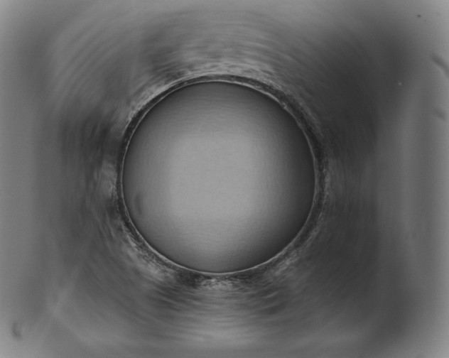 X0000101211505200807111020