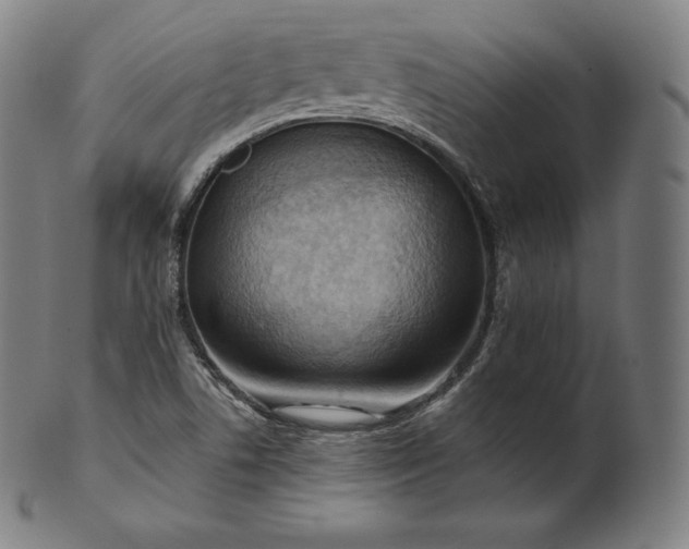 X0000101211506200807111020