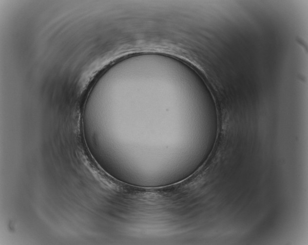 X0000101211507200807111020