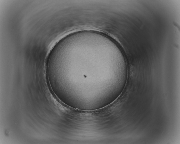 X0000101211508200807111020