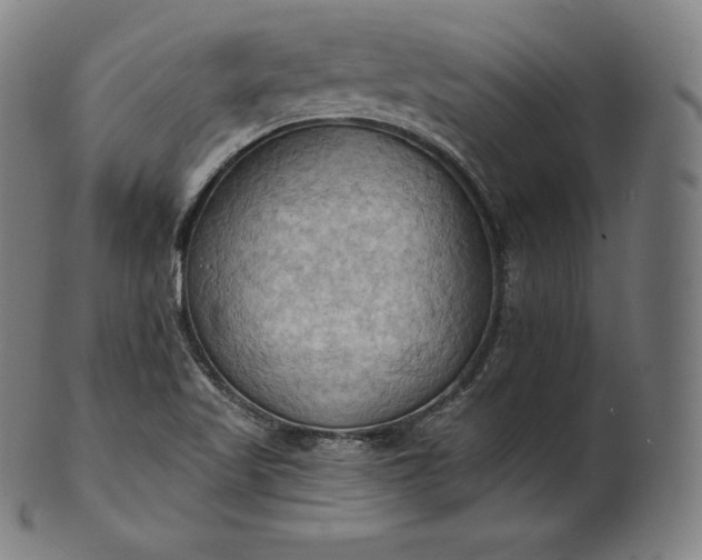 X0000101211509200807111020