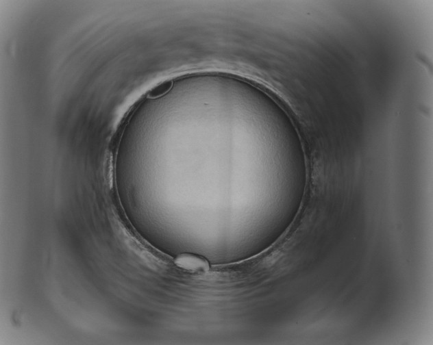 X0000101211510200807111020