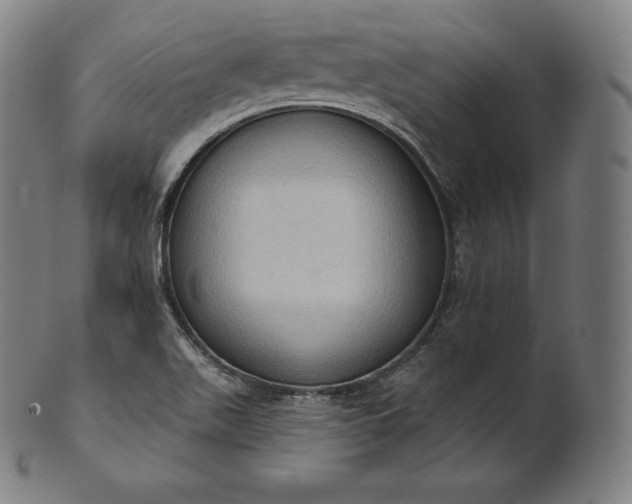 X0000101211511200807111020