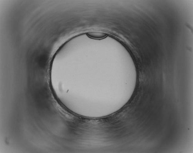 X0000101211512200807111021