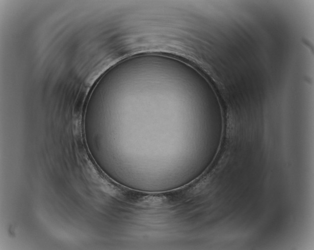 X0000101211513200807111021