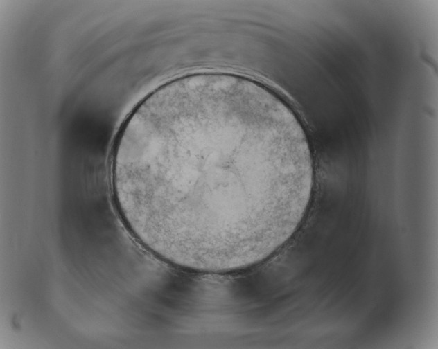 X0000101211514200807111021