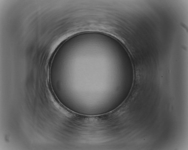 X0000101211515200807111021