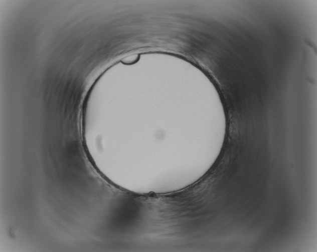 X0000101211516200807111021