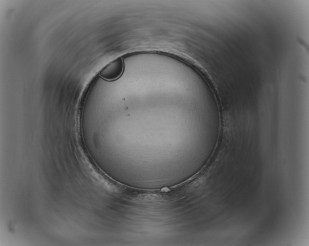 X0000101211517200807111021