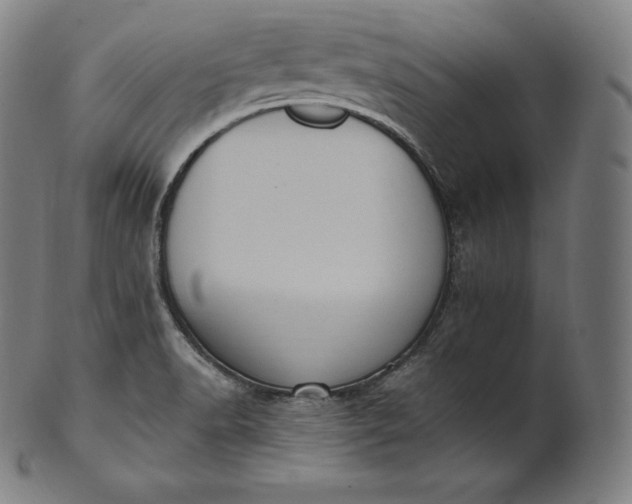 X0000101211518200807111021