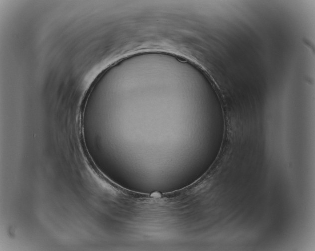 X0000101211519200807111021