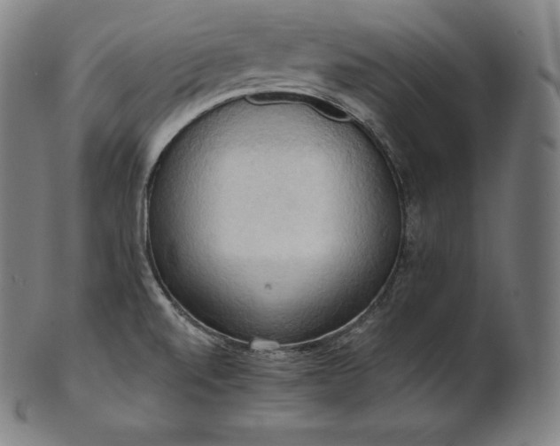 X0000101211520200807111021