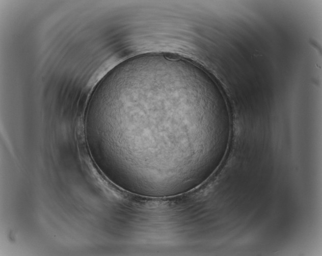 X0000101211521200807111021