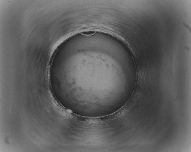 X0000101211522200807111021