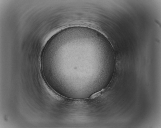 X0000101211523200807111021