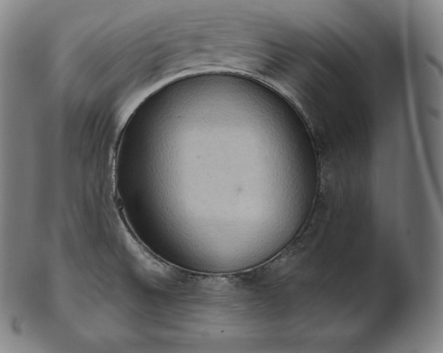 X0000101211524200807111021